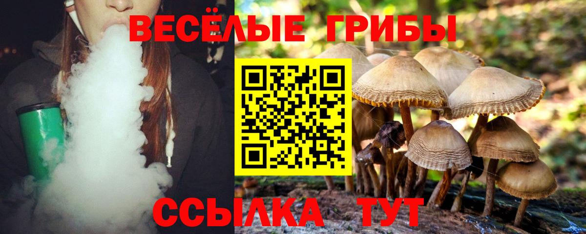 Галлюциногенные грибы ЛСД  Вход с VPN  Галлюциногенные грибы Cubensis  Бийск 