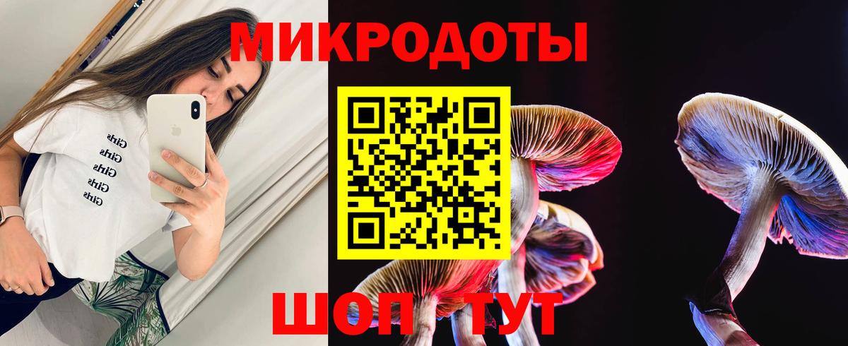 Галлюциногенные грибы Psilocybe Бийск